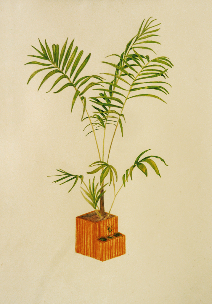 image 29