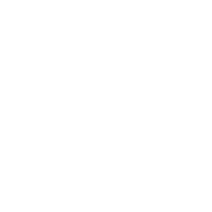 ico4